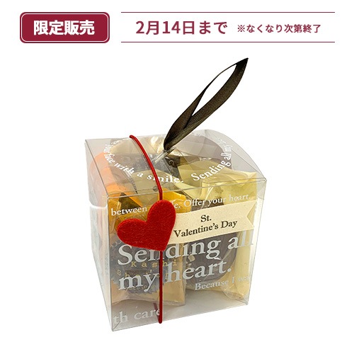 バレンタインショコラギフトD