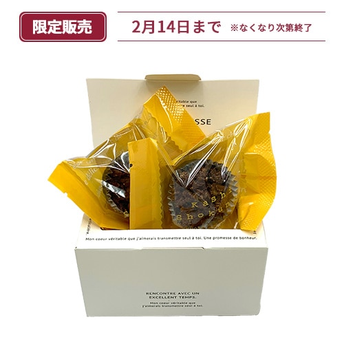 バレンタインショコラギフトE