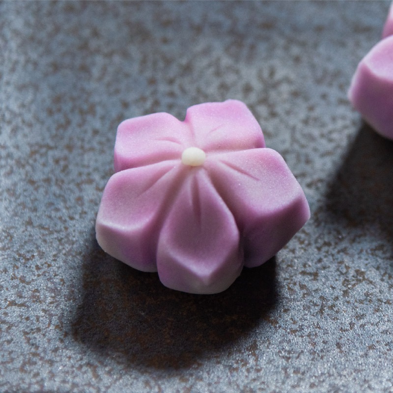 かしあわせ「桔梗」 | かしあわせ | 巌邑堂 かしあわせ