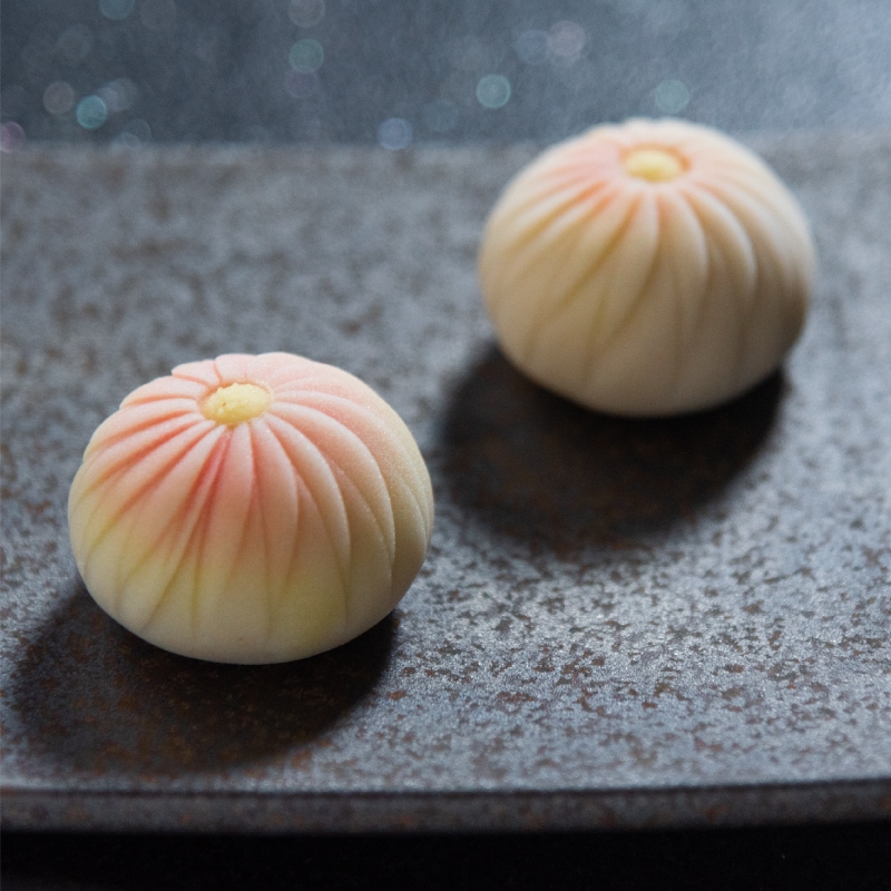 かしあわせ「菊」