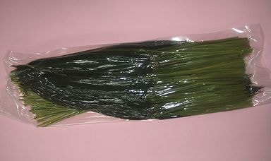 笹の葉　軸付　300枚入×１０Ｐ