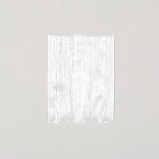 Z-74�����Ďڎ��Ď����ġ��羸�����סʾ��˥����Ѿ���