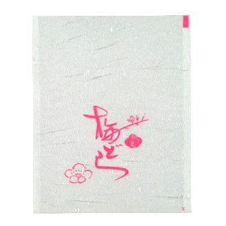 Z-3���ߤɤ顡�����Ѿ���