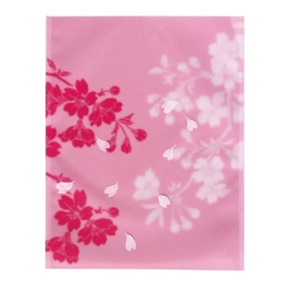 Z-170�������ѥå��������Ѿ���