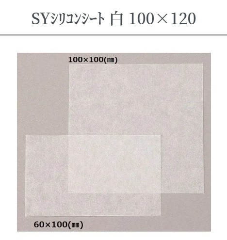 SYꥳ󥷡ȡ100120륷