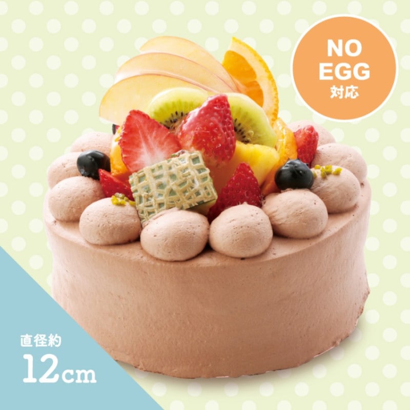 ��BD�ۡ��񥢥�륮���б��ۥե롼�ĥǥ��졼����� �����祳���꡼�ࡡ(��12cm)