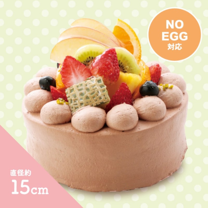��BD�ۡ��񥢥�륮���б��ۥե롼�ĥǥ��졼����� �����祳���꡼�ࡡ(��15cm)