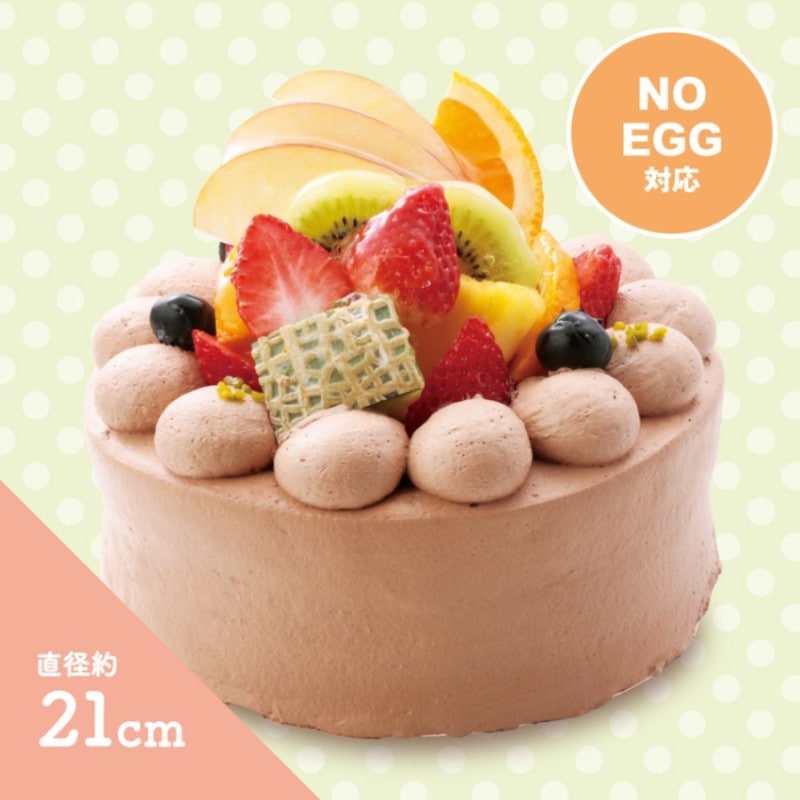 ��BD�ۡ��񥢥�륮���б��ۥե롼�ĥǥ��졼����� �����祳���꡼�ࡡ(��21cm)