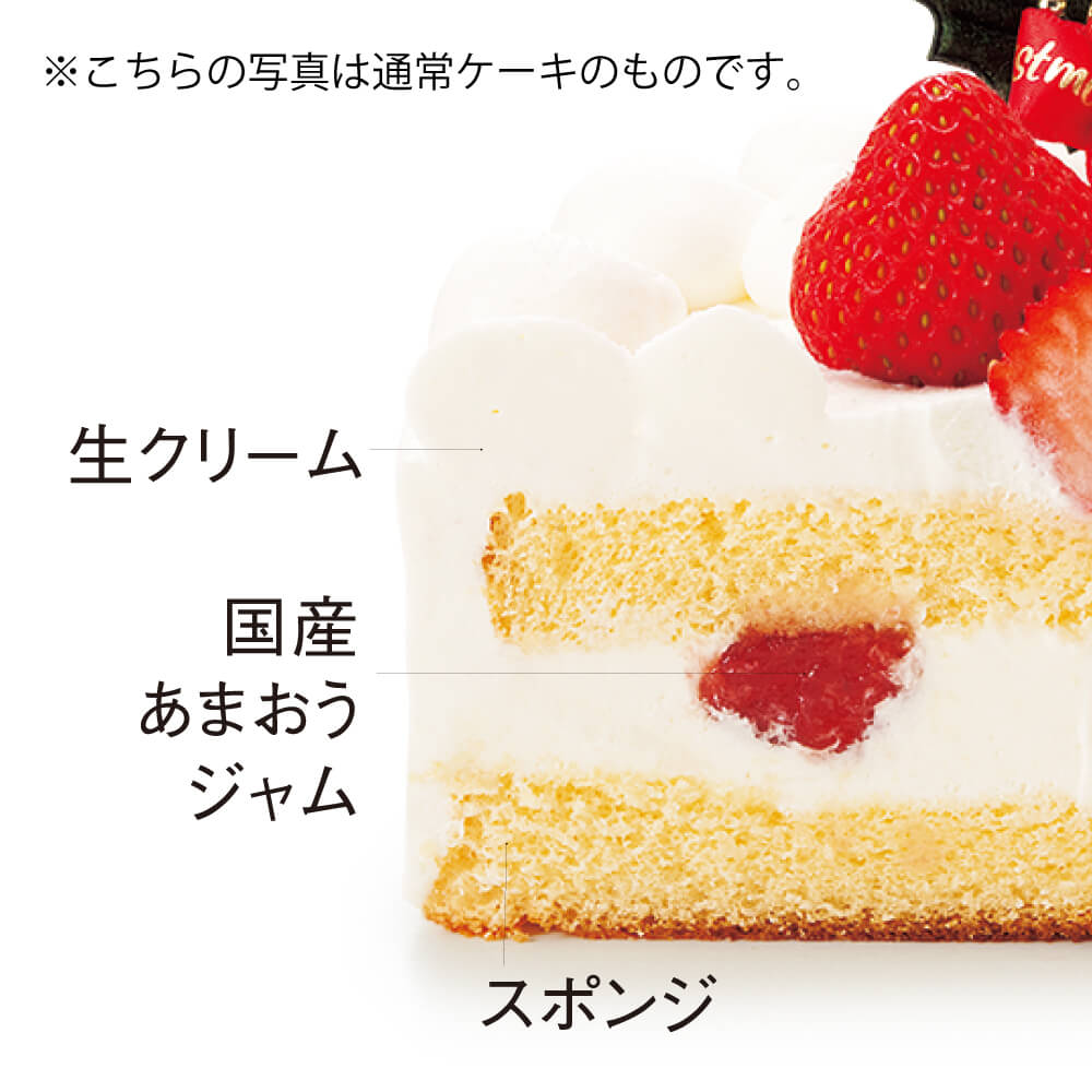 ŹƬ衦Xmasۡ񥢥륮бۥ󥿤Υꥹޥ18cm