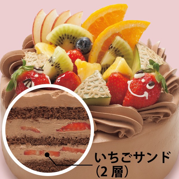 BDۥ奷奢˥С꡼ 祳꡼ࡡ(21cm)