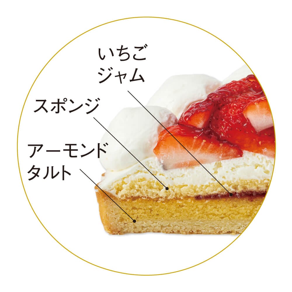 ŹƬ衦Xmasۥȡȥ٥꡼ȡ21cm