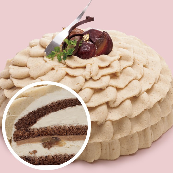 ��BD�ۥޥ��󡦥���ȥ�ͥåȡ�(��15cm)