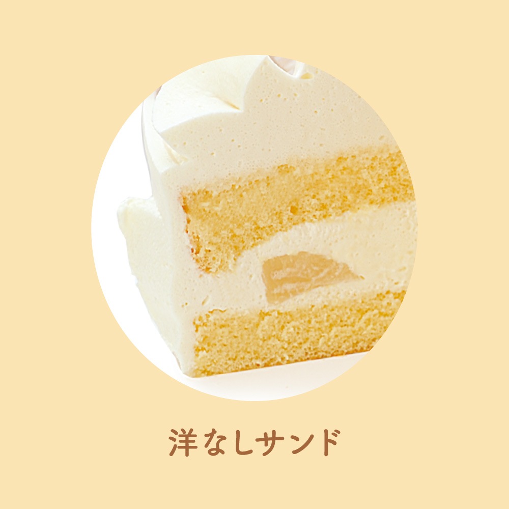 BDۥե롼ĥǥ졼(21cm)