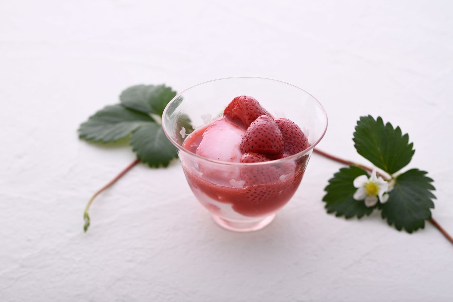 プリン各種（自配）｜すべての商品｜菓子屋 艷（YEN）オンライン 杏仁