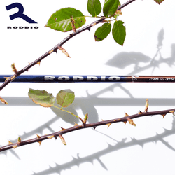 RODDIO FW����ե�
