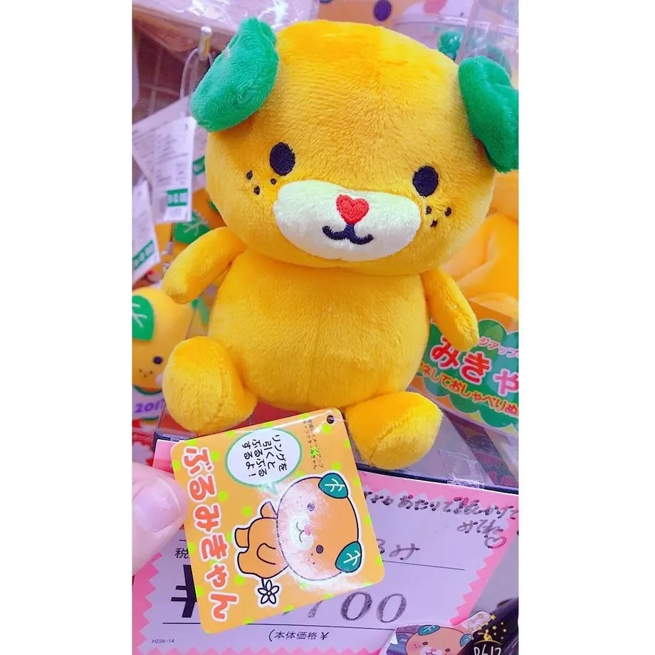 ぐるんぐるんさま専用 わけぷか 青 まとめ買い 中古品 10個 ぐるんぐるんさま専用 わけぷか 青 まとめ買い 中古品 10個
