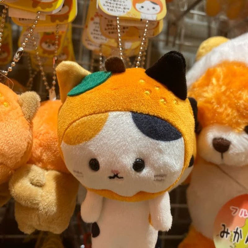 旅するマメねこ