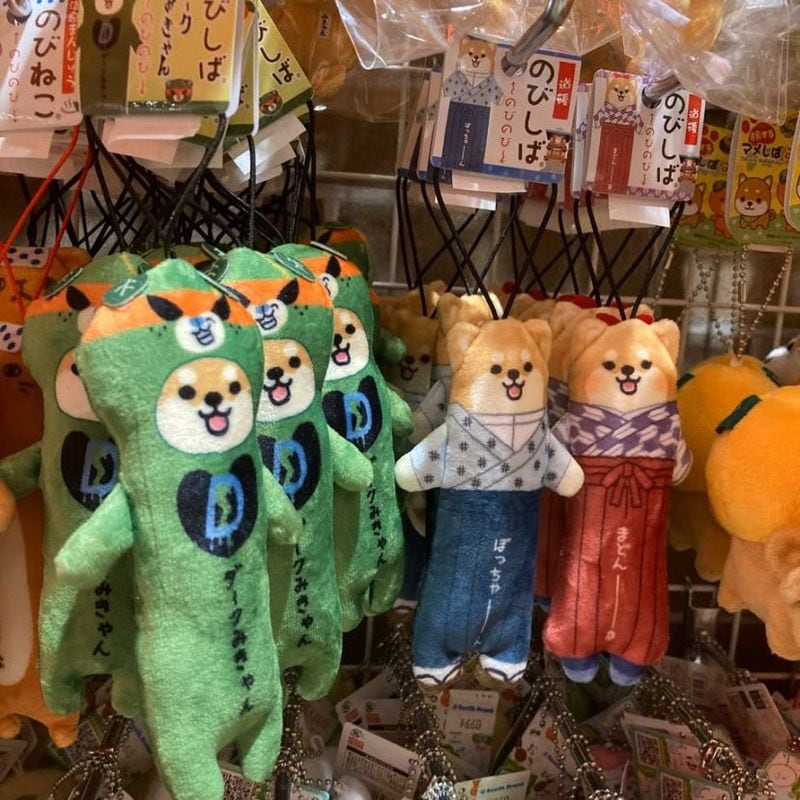 （愛媛限定）のびしばダークみきゃん