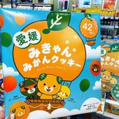 愛媛みきゃんみかんクッキー（42個入