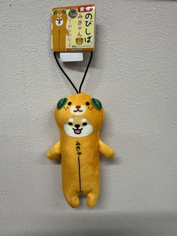 道後お土産センター絣屋