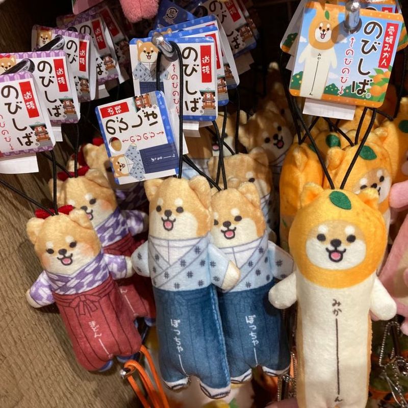 のびしば(愛媛みかん、坊っちゃん、まどんな）