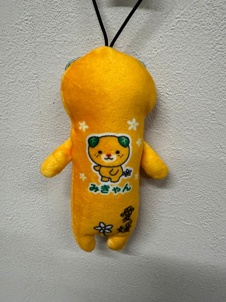 (愛媛限定）のびしば　みきゃん