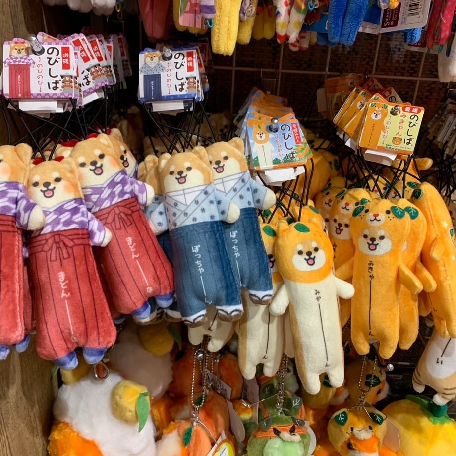 のびしば(愛媛みかん、坊っちゃん、まどんな）