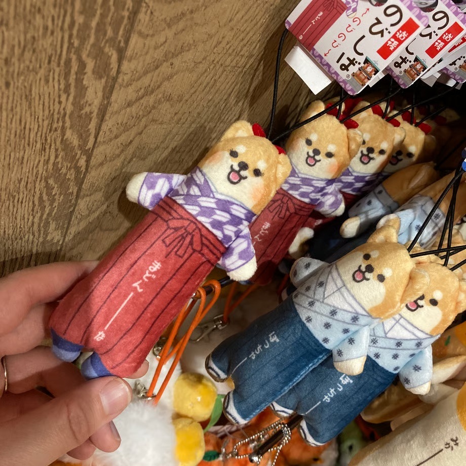 のびしば(愛媛みかん、坊っちゃん、まどんな）