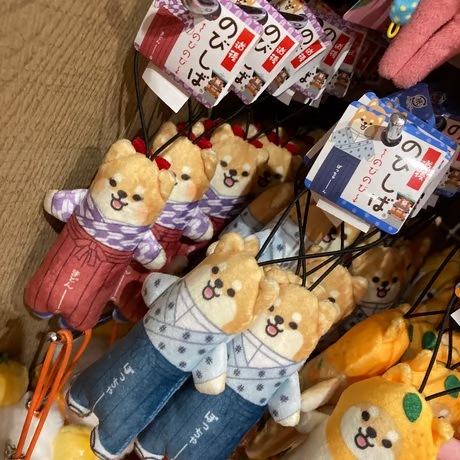 のびしば(愛媛みかん、坊っちゃん、まどんな）