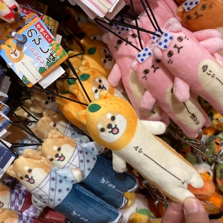のびしば(愛媛みかん、坊っちゃん、まどんな）
