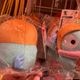 (愛媛限定）ポンジュースコラボハンギョドン