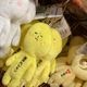 ゆきお　(タルト、みかん、レモン