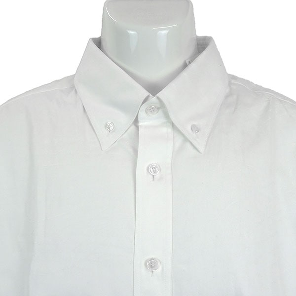 ベルルッティ シャツ メンズ BERLUTI コットンスクリット