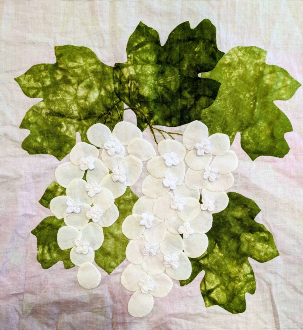 ６月　柏葉紫陽花
