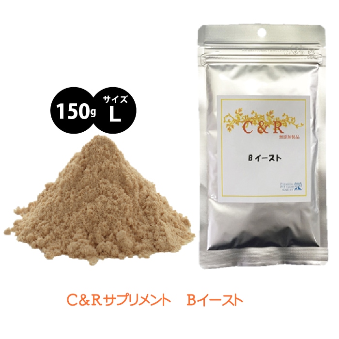 Bイースト サイズＬ 【送料無料】