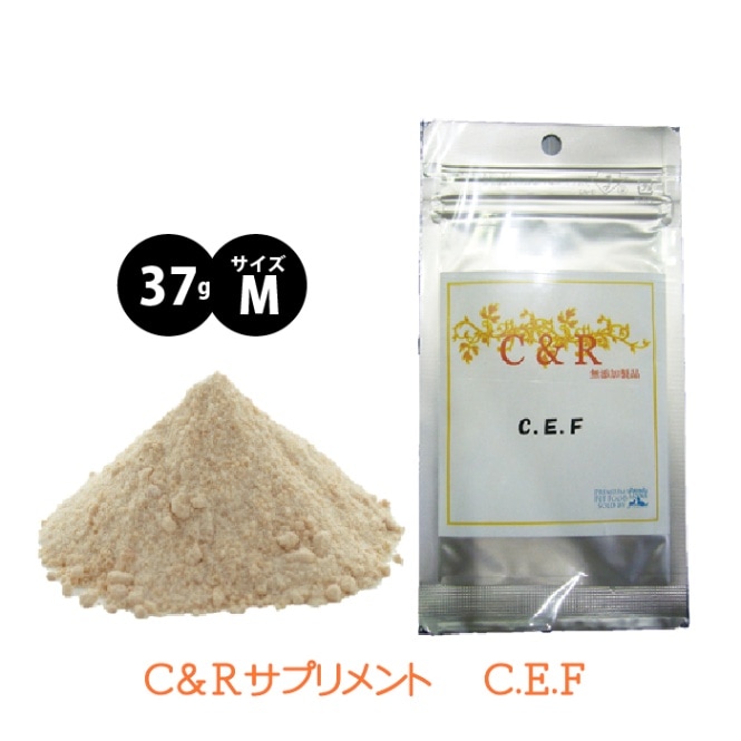 C.E.F サイズM 【送料無料】
