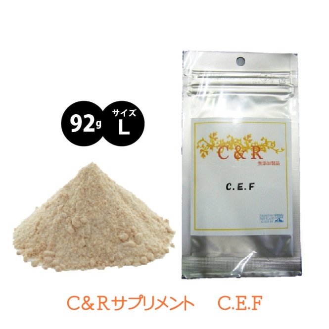 C.E.F サイズL