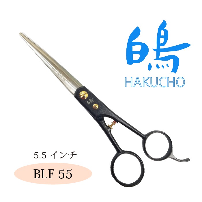 ★第３弾ヤマハ流ハミングバードスタイルFG-500Sがこれだ！ 超激鳴・超美品★ 0000000003492_PdTPh71.jpg