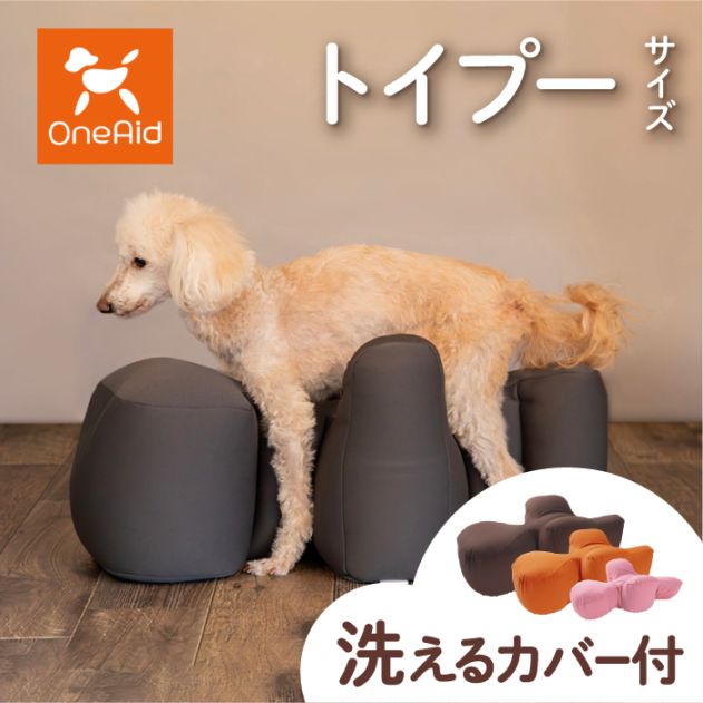リラクッション トイプードル カバーセット | シニア犬のための姿勢ケア 床ずれ・誤嚥防止に
