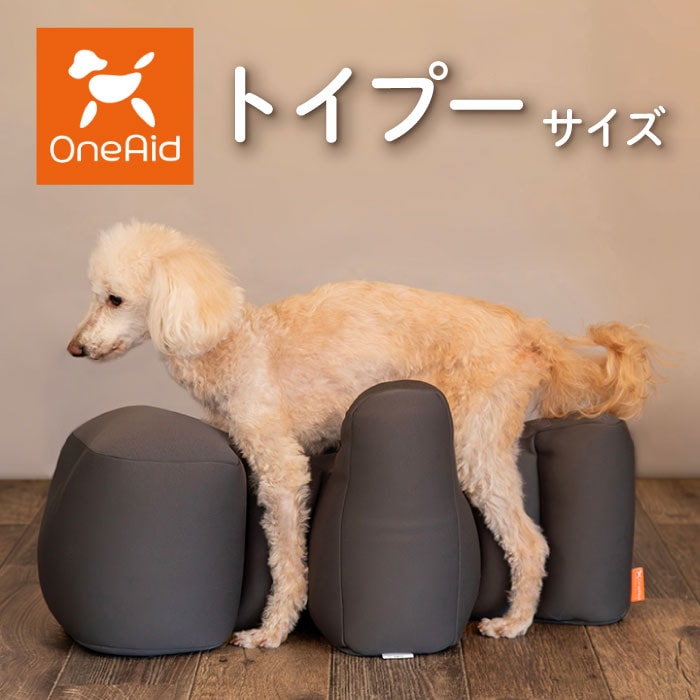 リラクッション トイプードル | シニア犬のための姿勢ケア 床ずれ・誤嚥防止に