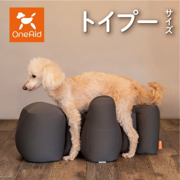 リラクッション トイプードル | シニア犬のための姿勢ケア 床ずれ・誤嚥防止に