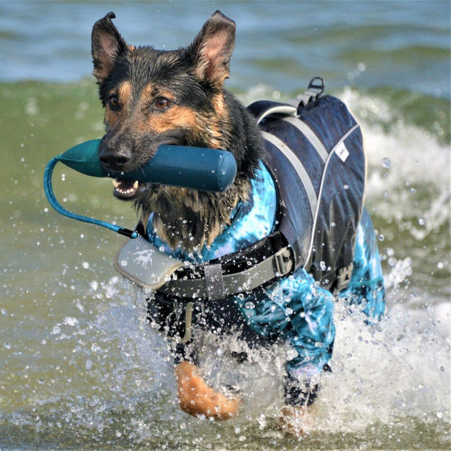 GEWALK バイティング フロート| 水場で使えるおもちゃ