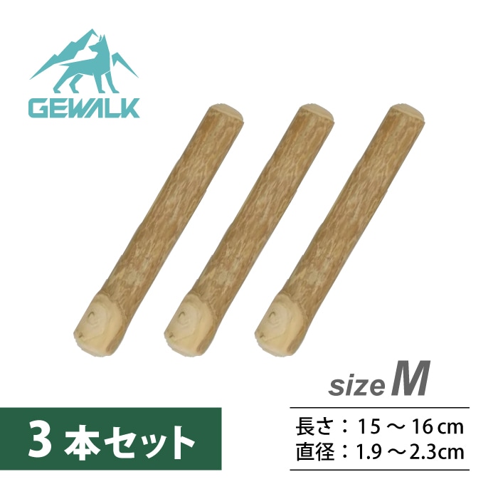 ドッグ チュウ スティック コーヒー ツリー M 3個セット【送料無料】