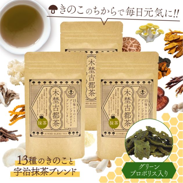 グリーンプロポリス入り 木埜古都茶 きのことちゃ 13種のきのこと無添加抹茶ブレンド 3袋セット