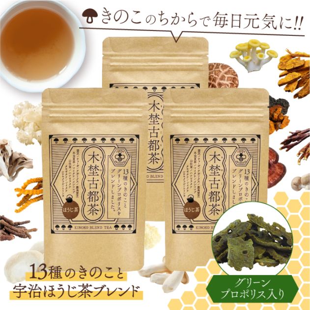 グリーンプロポリス入り 木埜古都茶 きのことちゃ 13種のきのこと無添加ほうじ茶ブレンド 3袋セット