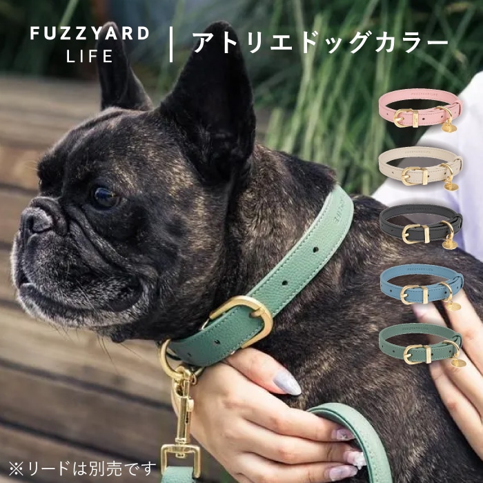 アトリエドッグカラー