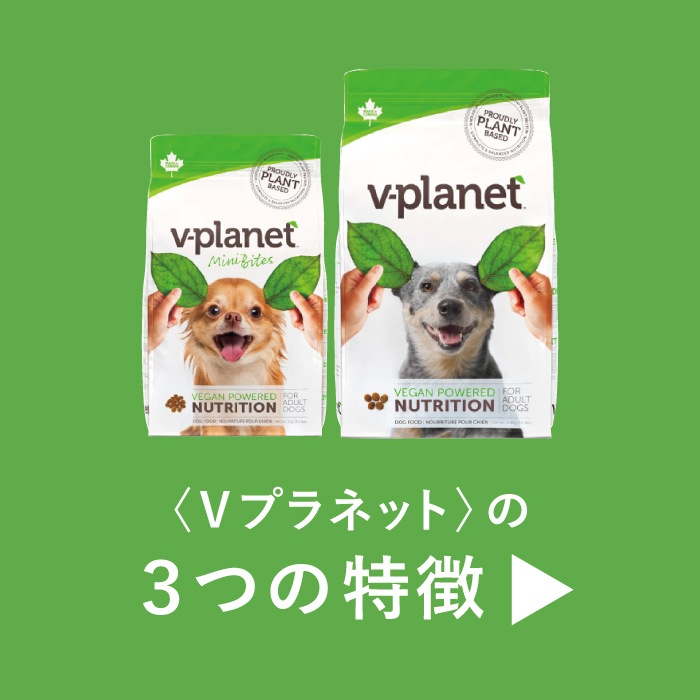 ヴィーガン ドッグフード 小型犬用 小粒 2kg×2個 | Vプラネット