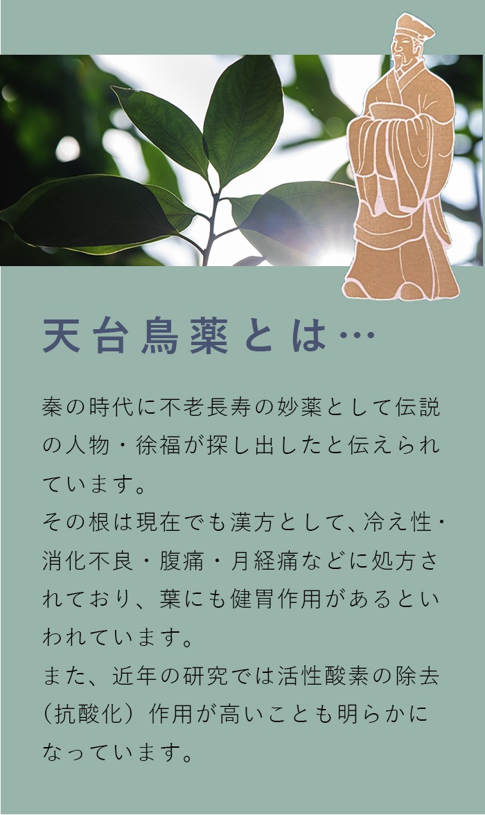 天台烏薬茶 徐福茶 袋タイプ | 徐福関連 | カチオン公式オンラインショップ