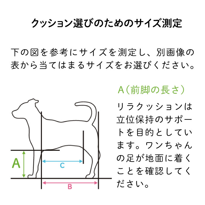 リラクッション トイプードル | シニア犬のための姿勢ケア