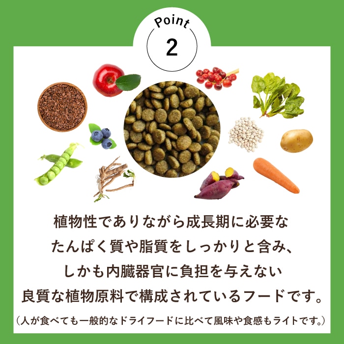 ヴィーガン ドッグフード 中・大型犬用 大粒 2kg | Vプラネット